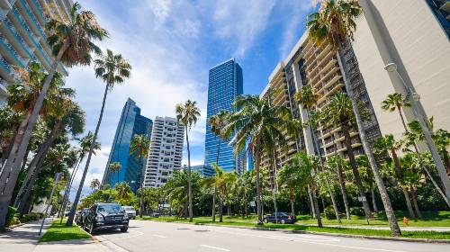 South Florida Condo Market Resource Center